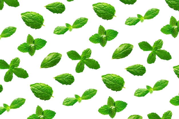 Background of fresh mint leaves on white backdrop