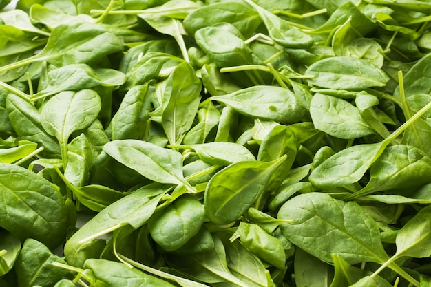 Background of fresh spinach leaves. Green grass texture