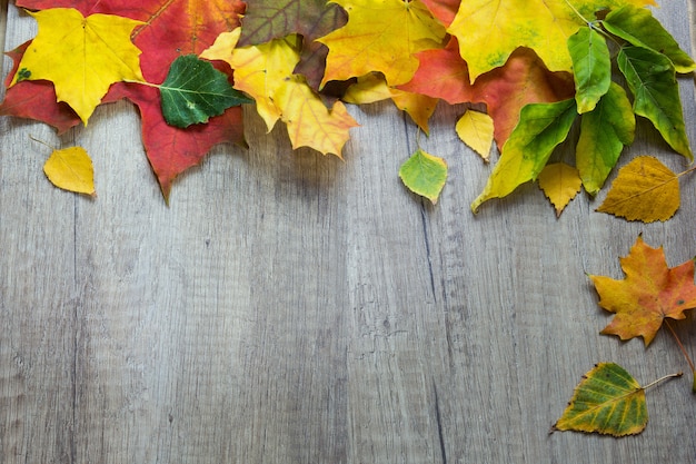 Background from autumn leaves on the wood