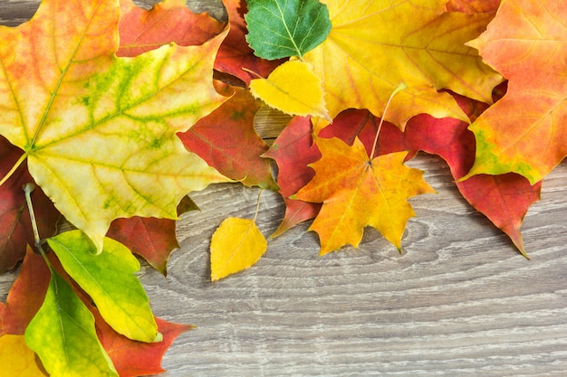 Background from autumn leaves on the wood