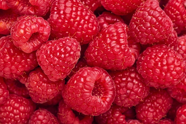 Background from fresh juicy and ripe raspberries macro photography shallow depth of field