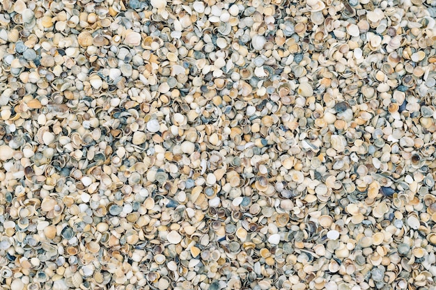 Background from a large number of small shells.