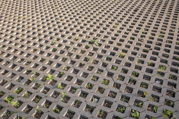 Background from paving slabs with grass sprouting through them. Stone tiles on the sidewalk. Footpath. Textured patterned background. Eco-friendly covering - concrete lawn grating.