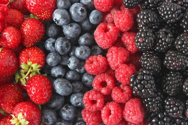 Background from a set of different berries