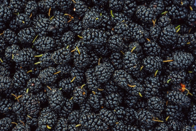 Background from summer black and blue mulberry berries