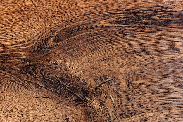 Background from wood texture close up