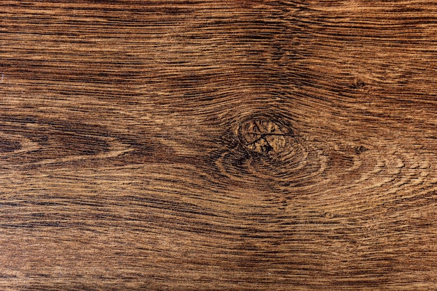 Background from wood texture close up