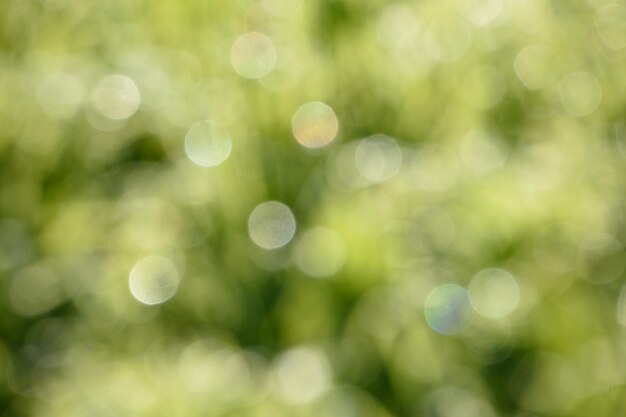 Background image bokeh on green background