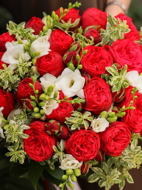 Background image of a bouquet of flowers in red and white color. Beautiful peony-shaped roses and fragrant spring freesia with pitosmotrum. A floral composition in a flower salon for a gift