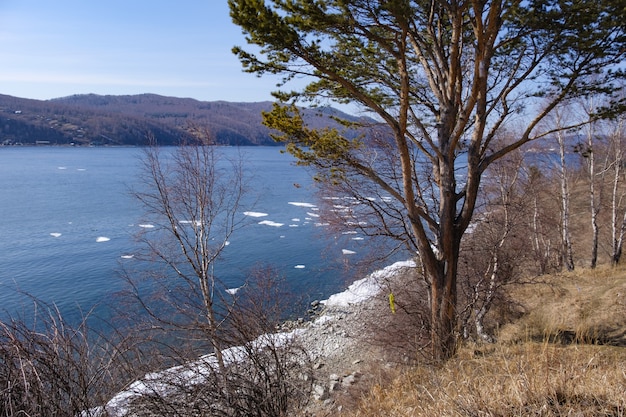 Background Landscape view of Lake Baikal with trees and mountains on April at Kamen Cherskogo, Irkutsk Oblast, Russia