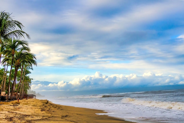 Background landscape with palm trees clouds sea and blue sky