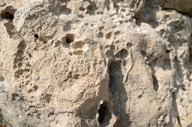 Background of limestone rock with holes close up