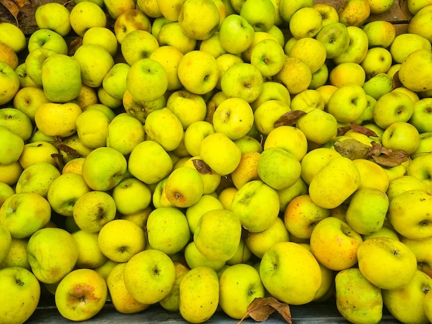 Background lots of yellow and green apples the concept of fruit harvest