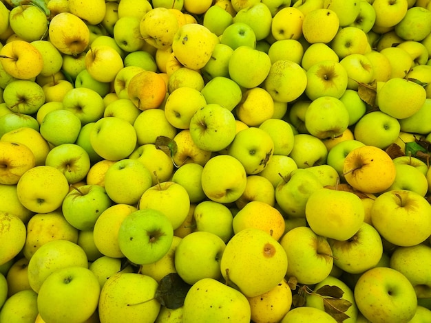 Background lots of yellow and green apples the concept of fruit harvest