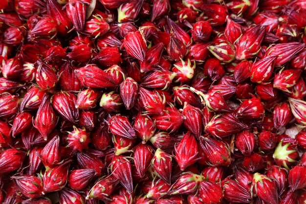 Photo background made of hibiscus sabdariffa or roselle fruits