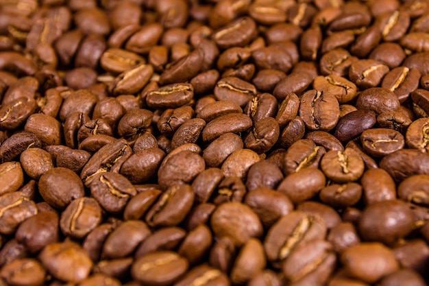 Background of the many roasted coffee beans Selective focus