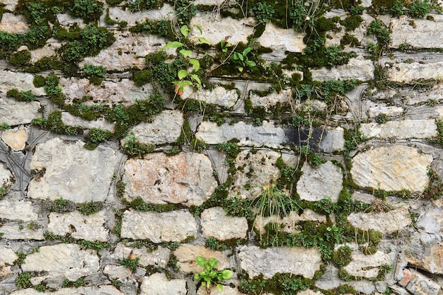 Background - mossy wall made of raw limestone