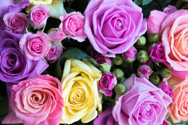 Background of multicolor roses for the wedding or St Vadentin's Day and Mother's Day