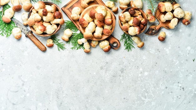 Background of mushrooms Porcini Mushrooms on a gray stone table Organic forest food Top view On a stone background