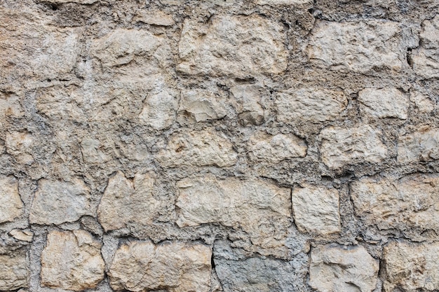 Background of natural old stone brick of an old castle, hedge.