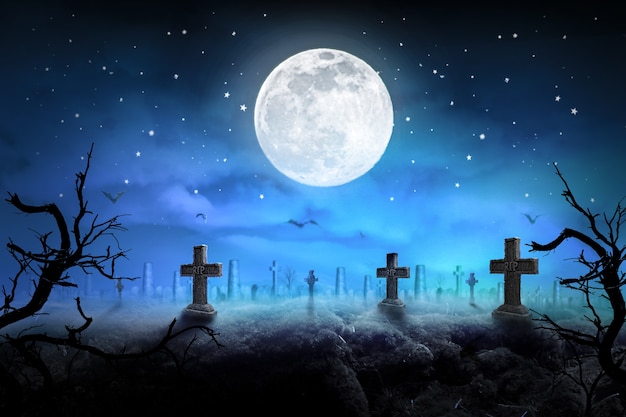 Background night graveyard with bat 3D