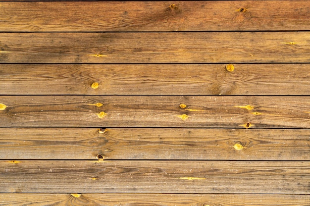 Background of old pine boards with knots Brown with yellow