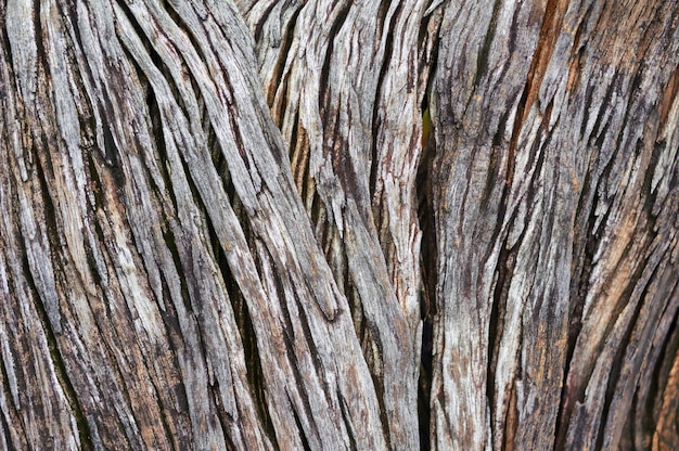 Background of the old wooden surface