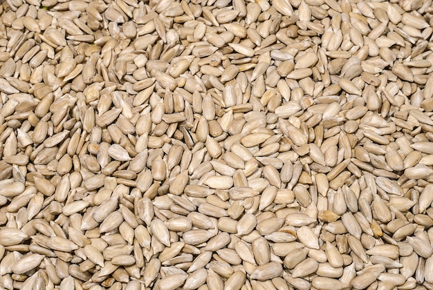 Background of peeled sunflower seeds