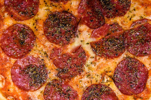 Background of the pizza with salami sausage and parmesan cheese