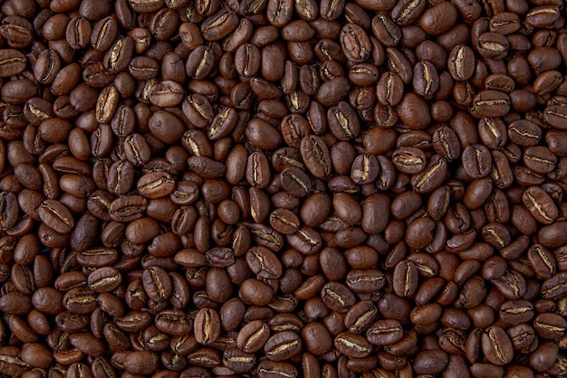 A background of randomly scattered roasted coffee beans. Presentation layout.