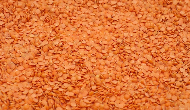 Background of red the lentils