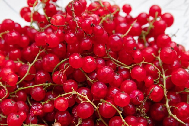 Background of ripe juicy red currant berries.