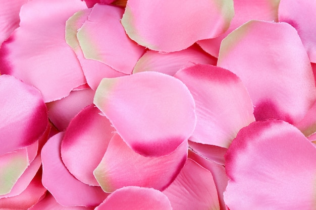 Background for rose petals close up