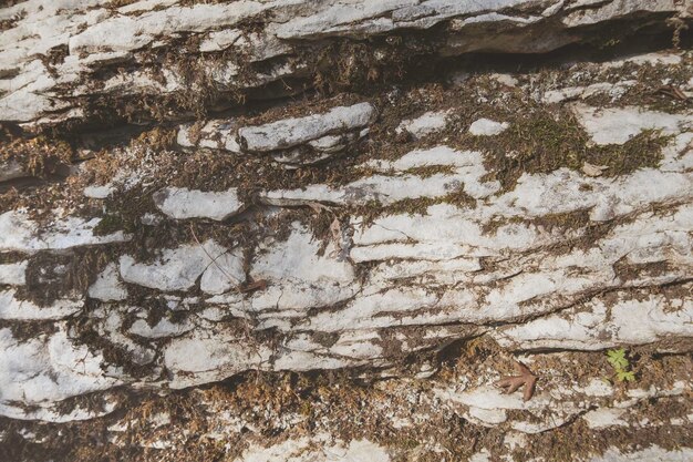 Background of rough stone wall with dry moss and soil