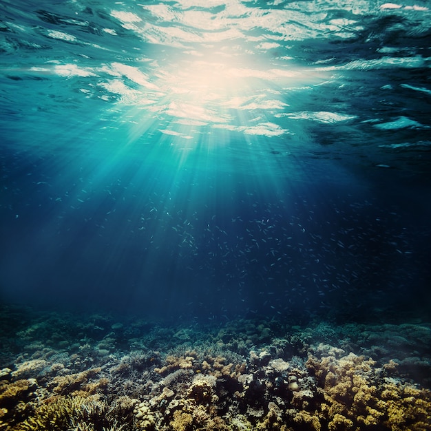 A background sand on the beach underwater