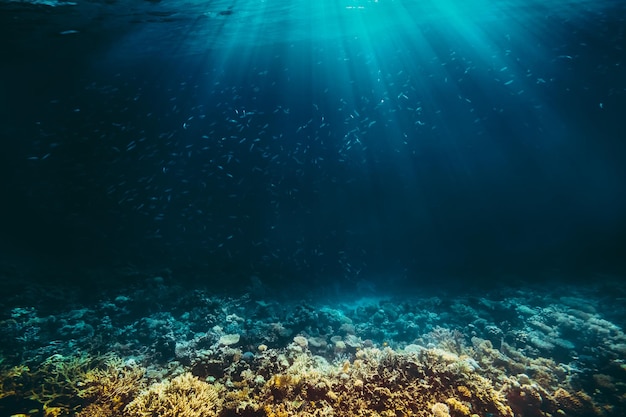 A background sand on the beach underwater