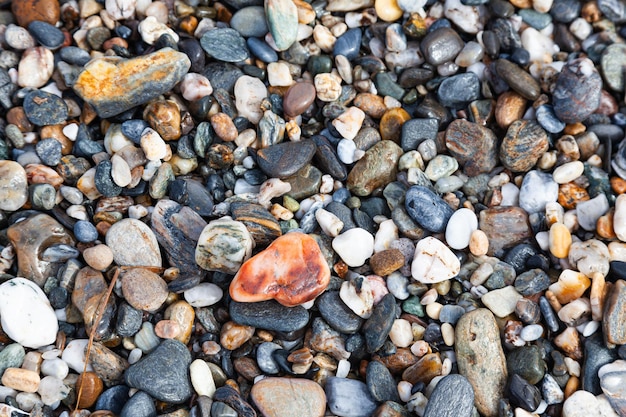 Background of sea stones Stones of different shapes sizes and colors on the seashore closeup