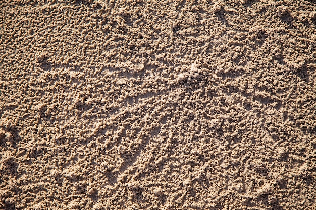 Background small crabs traces on the beach sand