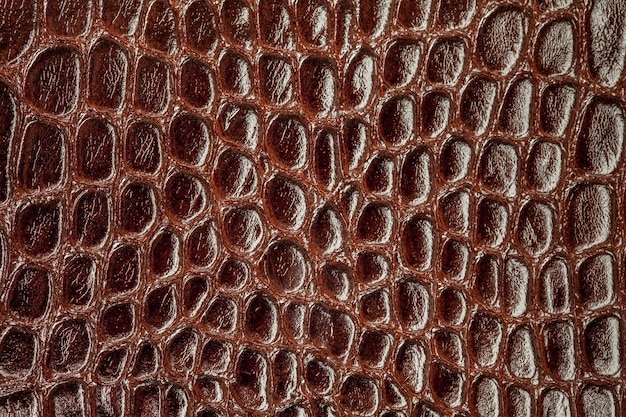 Background snake skin.