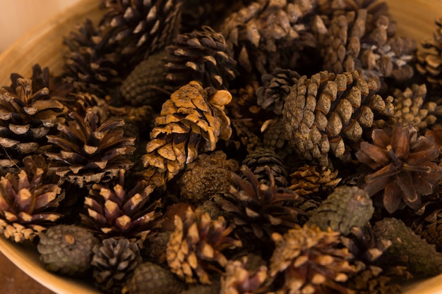 Photo background texture of dried natural pine cones in a ceramic bowl conceptual of the christmas season