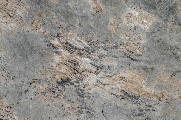 Background texture of grey stone