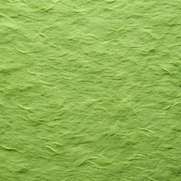 Photo background and texture of a handmade green japanese yatsuo paper