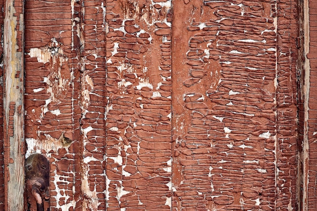 Background texture of old wooden door