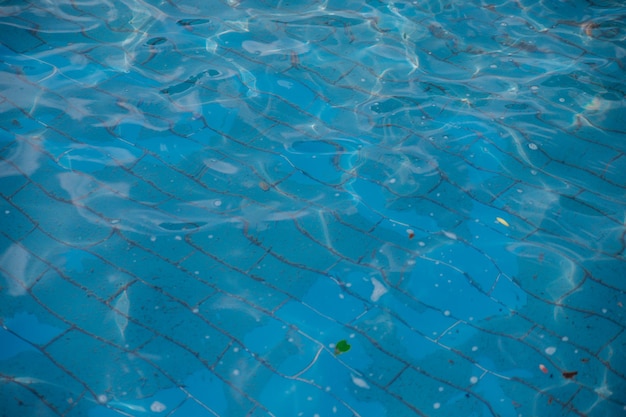 Background and texture Ripples on clear water Floating small debris and leaves One of the ceramic blue tiles Cleaning the pool