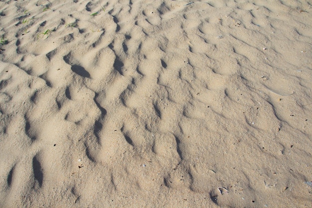 Background texture of sandy beach