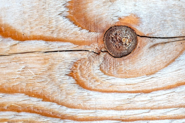 Background texture. The surface of the edged board with a knot on the cut. The texture of the tree.