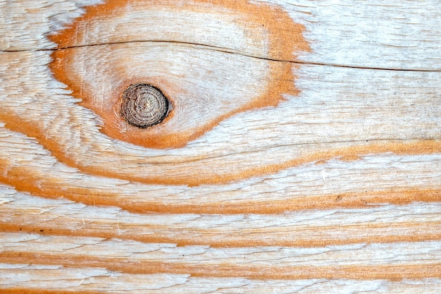 Background texture. The surface of the edged board with a knot on the cut. The texture of the tree.