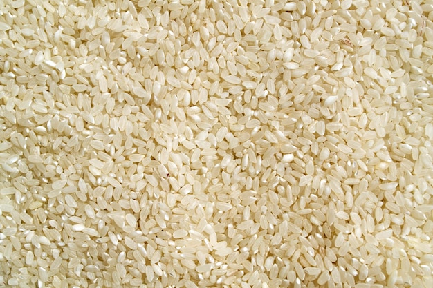 Background texture white rice