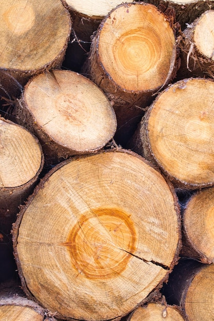 Background and texture of wooden logs