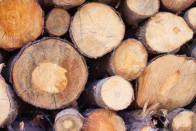 Background and texture of wooden logs